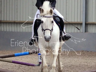 Lanark Riding Club Showjumping May 2019