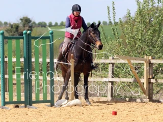 Class 4 Newcomers Elite