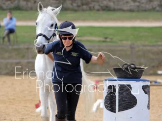 Class 6 In hand Novice