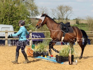 Class 7 In hand Open