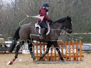 Class 2 Novice Horse