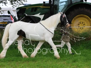 Carnwath Show July 2024