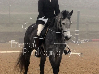 Rutland Riding Club Dressage 05 02 2017