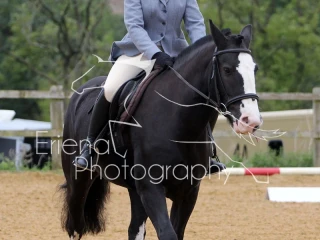 Rutland Riding Club Dressage 10 09 2017
