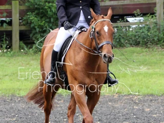 Rutland Riding Club Dressage June 2018