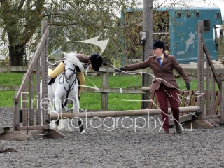 Sissons Farm Working Hunter October 2017