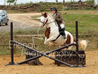 Working Hunter Novice