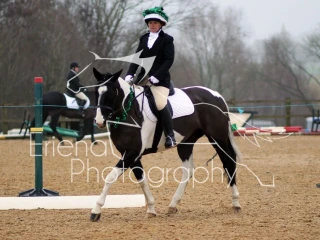 Wittering Academy Dressage 13 12 2015