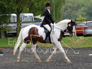 Intro C Championship