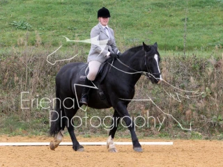 Wittering Academy Dressage October 2016