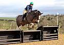 Wittering Academy Arena Eventing 21-02-2016