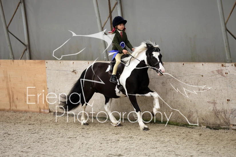13 Novice Horse/Pony