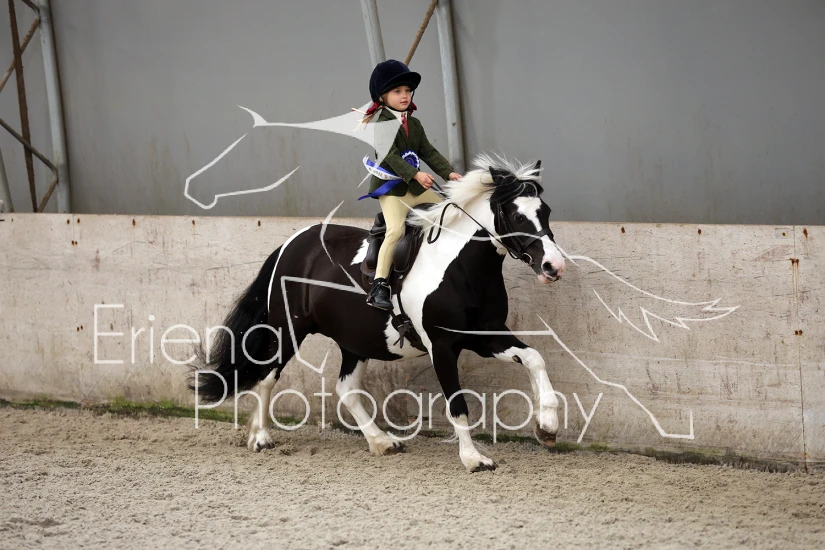 Barkeldy Equestrian Showing Show
