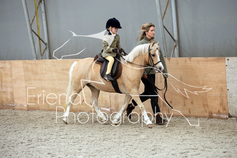 16 Unplaited Horse/Pony