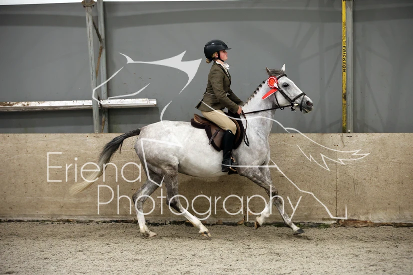 19 Riding Horse/Hunter