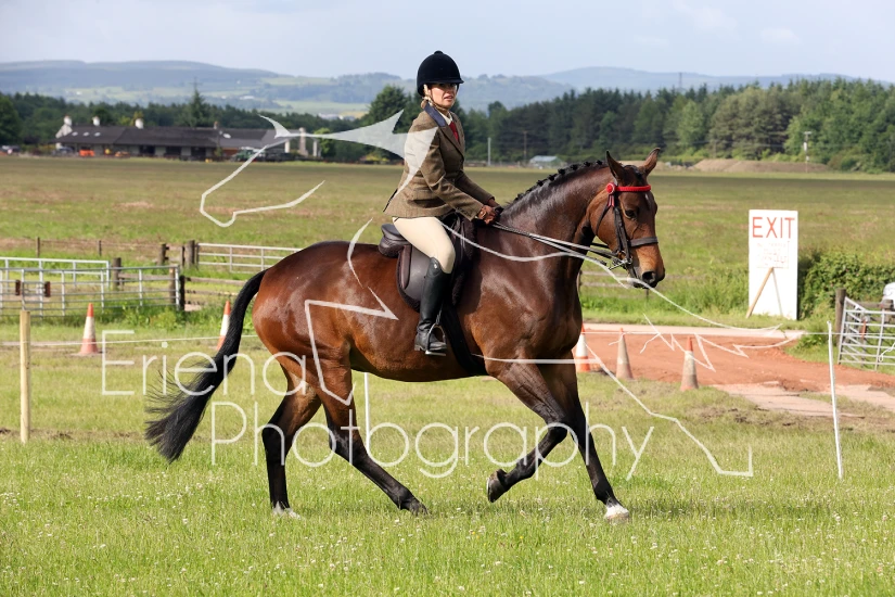 Stirling Agricultural Show - Showing Arenas