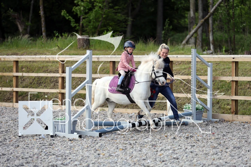 Turlood Showjumping