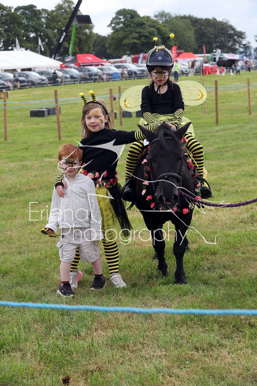 Fancy Dress