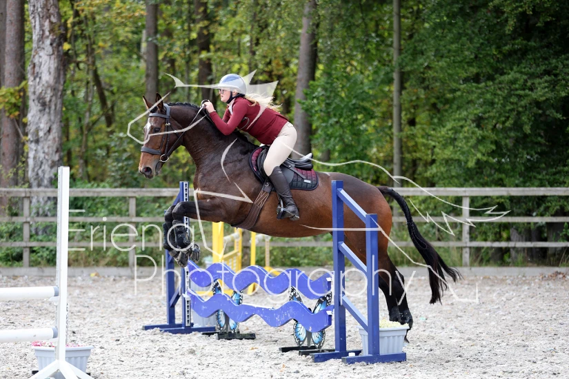 Turlood Showjumping
