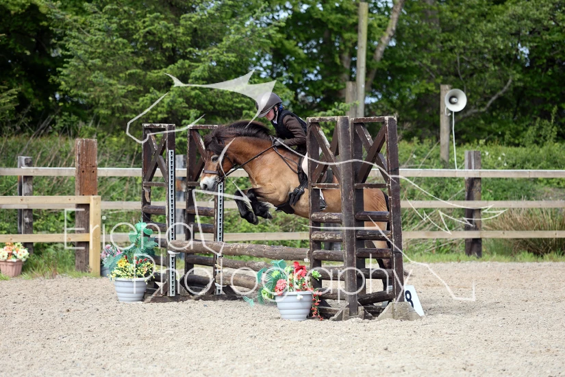 Working Hunter Ring